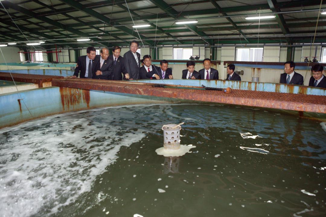 '수산자원연구소 현지 행정사무감사' 게시글의 사진(6) '2006-11-23 수산자원연구소 현지 행정사무감사 (6).jpg'