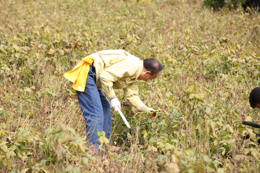 '농림수산위원회 농촌일손돕기 봉사활동' 게시글의 사진(19) '2010-10-19 농림수산위원회 농촌일손돕기 봉사활동 (19).jpg'