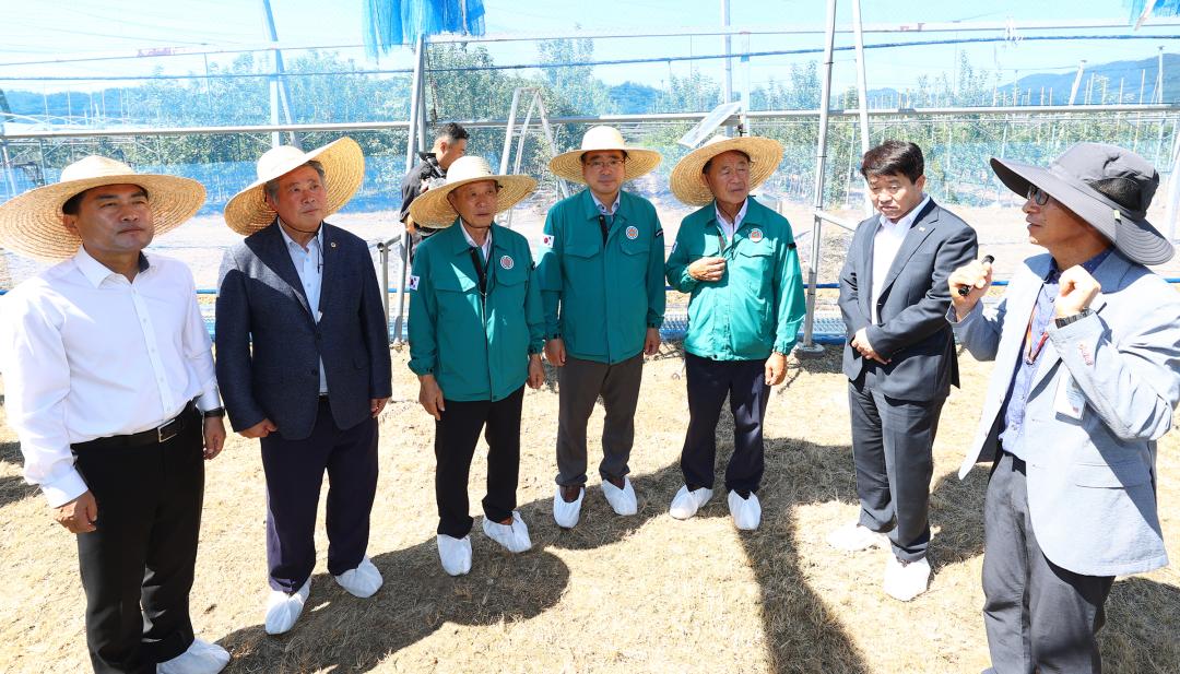 '제340회 농림수산위원회 현지시찰' 게시글의 사진(23) '2025-09-11 제340회 농림수산위원회 현지시찰(농업기술원,해피초원목장) (22).jpg'