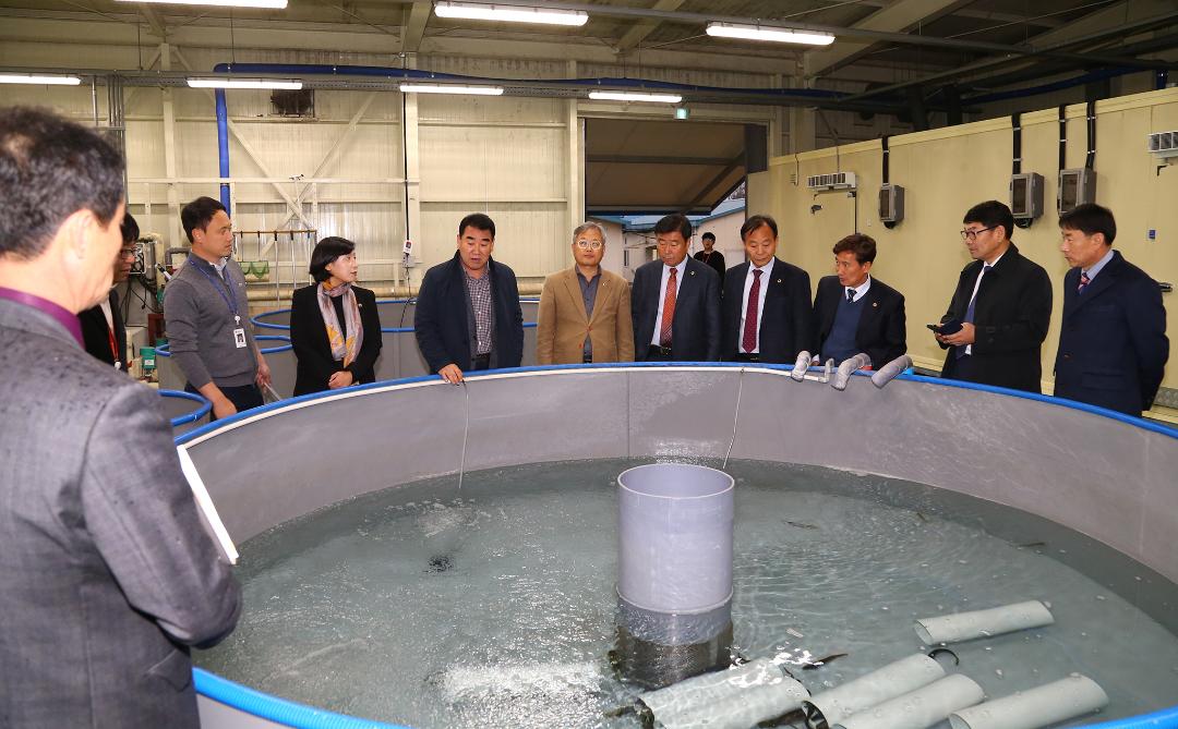 '제286회 농림수산위원회 현지시찰(내수면자원센터)' 게시글의 사진(4) '2019-11-15 제286회 농림수산위원회 현지시찰(내수면자원센터) (4).jpg'