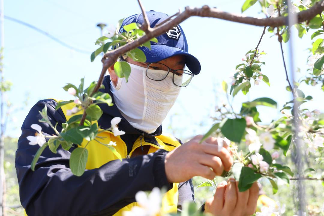 '강원특별자치도의회 2026년 농촌일손돕기 봉사활동' 게시글의 사진(15) '2026-04-29 강원특별자치도의회 농촌봉사활동 (13).jpg'