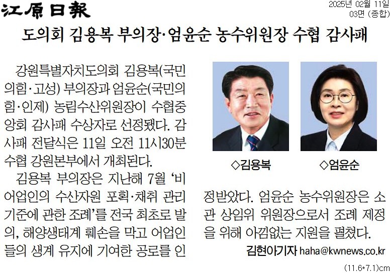 '김용복 부의장 . 엄윤순 농수위원장 수협 감사패 수상자 선정' 게시글의 사진(2) '[강원일보] 도의회 김용복 부의장·엄윤순 농수위원장 수협 감사패_종합 03면_20250211.jpg'