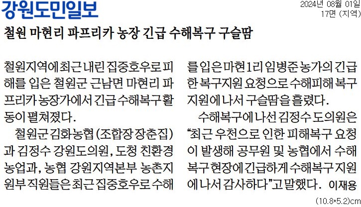 '철원 마현리 파프리카 농장 긴급 수해목구 구슬땀' 게시글의 사진(1) '[강원도민일보] 철원 마현리 파프리카 농장 긴급 수해복구 구슬땀_지역 17면_20240801.jpg'