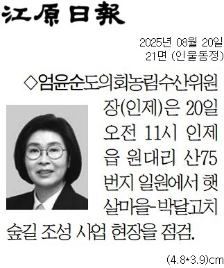 '[동정] 햇살마을-박달고치 숲길 조성 사업 현장을 점검' 게시글의 사진(1) '[강원일보] [동정] 엄윤순 도의회농림수산위원장_인물동정 21면_20250820.jpg'