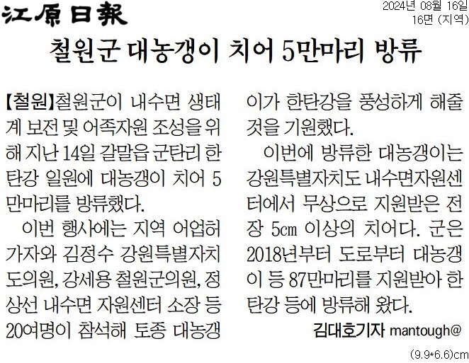 '철원 한탄강에 대농갱이 치어 5만마리 방류' 게시글의 사진(2) '[강원일보] 철원군 대농갱이 치어 5만마리 방류_지역 16면_20240816.jpg'