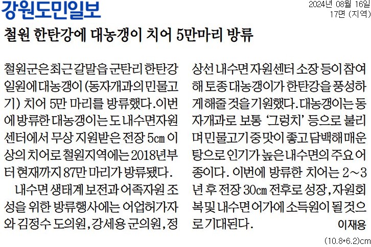 '철원 한탄강에 대농갱이 치어 5만마리 방류' 게시글의 사진(1) '[강원도민일보] 철원 한탄강에 대농갱이 치어 5만마리 방류_지역 17면_20240816.jpg'
