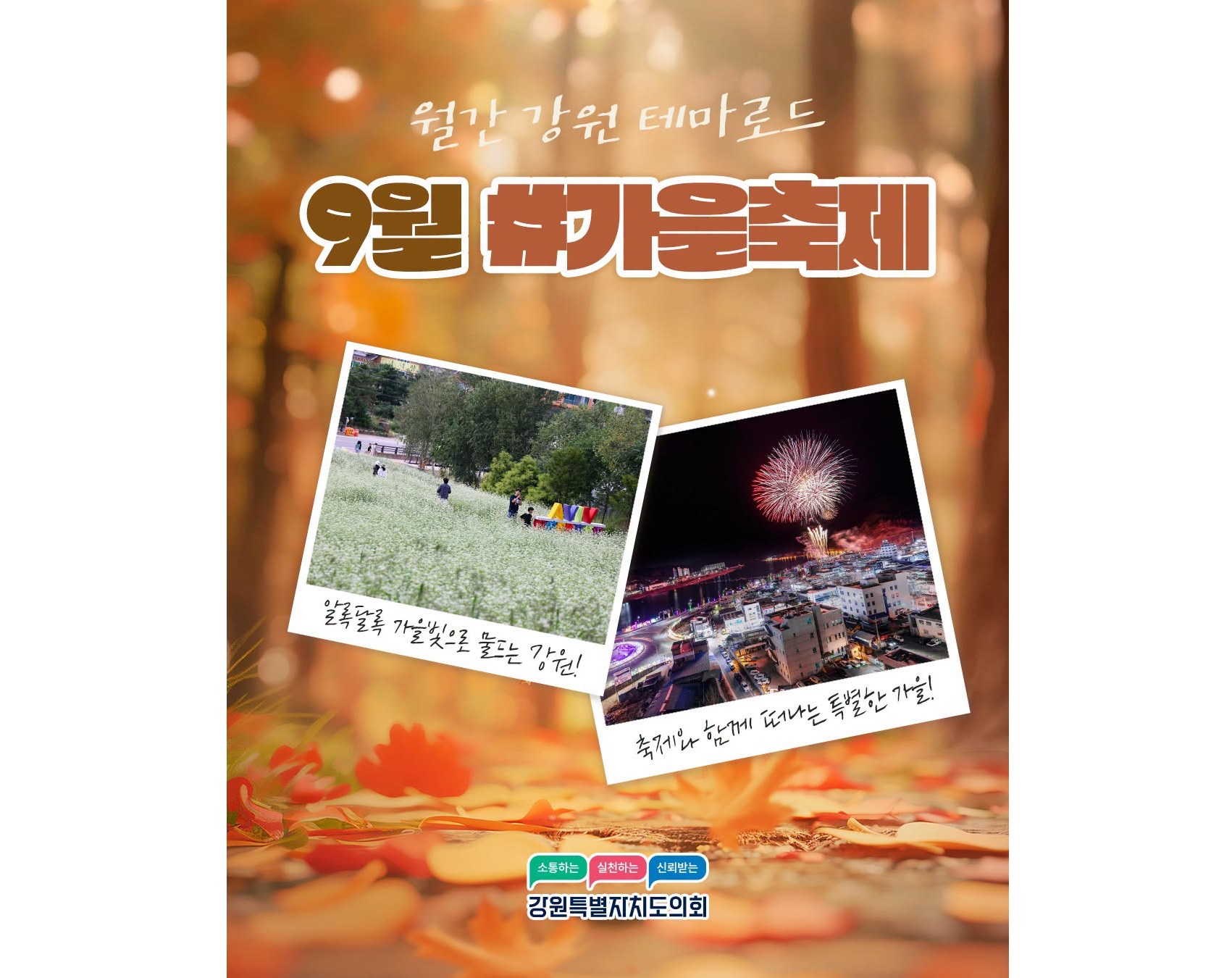【월간 강원 테마로드 9월 #가을축제】