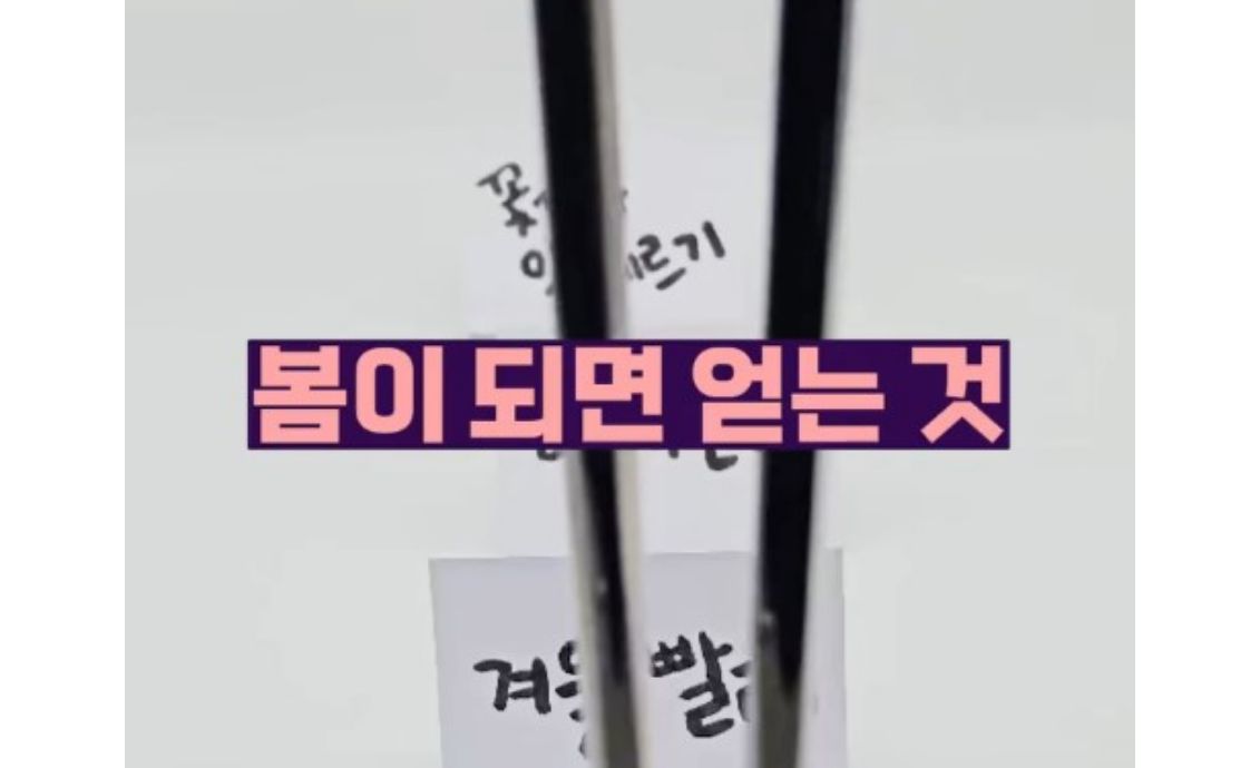 【봄이 되면 얻는 것🌸 vs 잃을 수 없는 것🚫 #젓가락워킹 #산불예방】