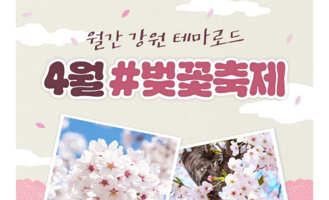 【월간 강원 테마로드 4월 #벚꽃축제】